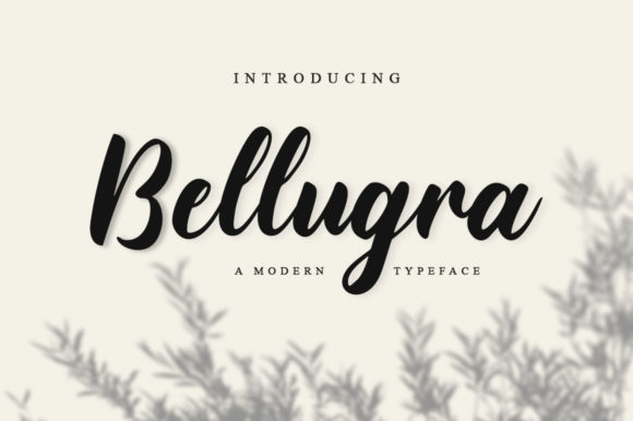 Bellugra Font: A Playful Script for Digital Branding
