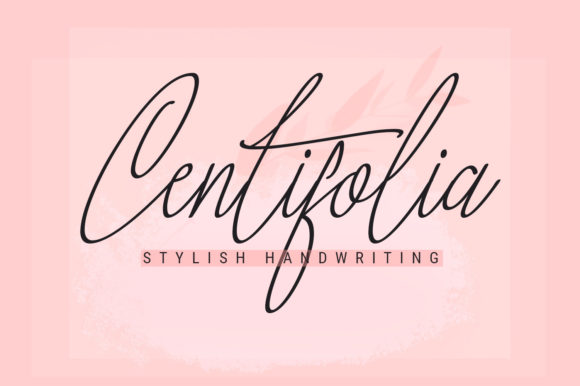 Centifolia Font: A Stylish Script for Your Brand