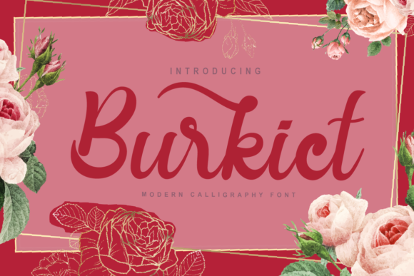 Chic Script Font for Web Design