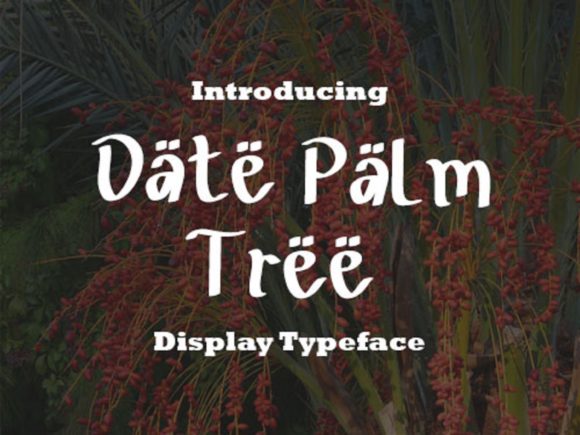 Date Palm Tree Font Review
