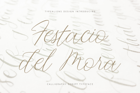 Festacio Del Mora Font Review