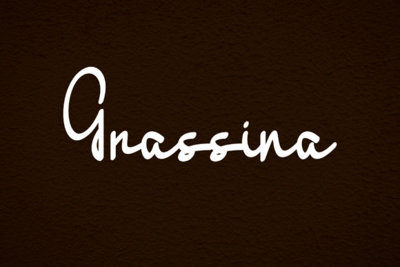 Grassina: A Stylish Script Font for Business