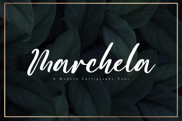Marchela: A Script Font for Business Elegance