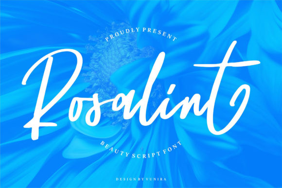 Rosalint: A Whimsical Script Font
