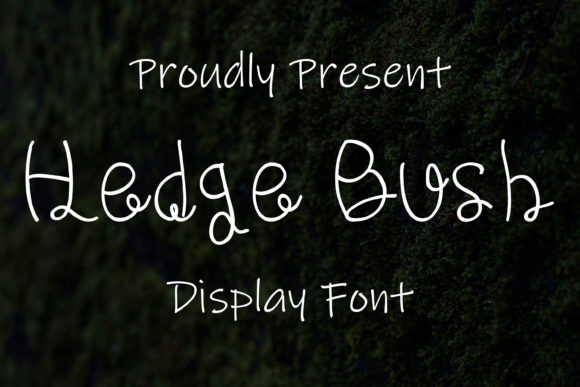 Script Font for Stronger Campaigns