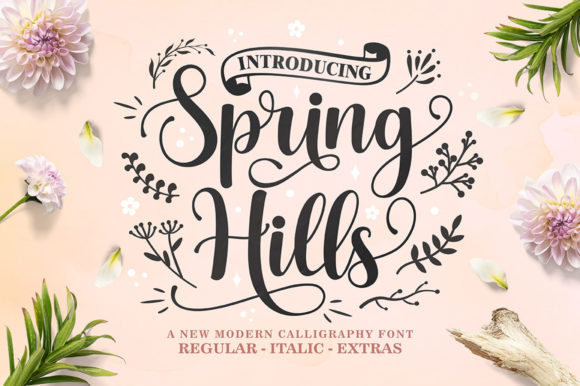 Spring Hills: A Romantic Script Font
