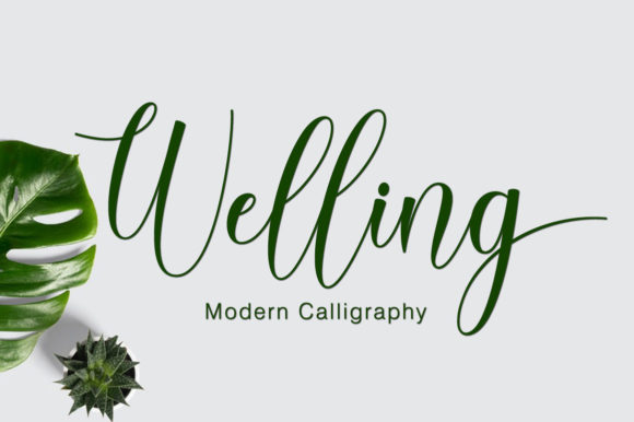 Welling Font: Elegant Script for Web Design